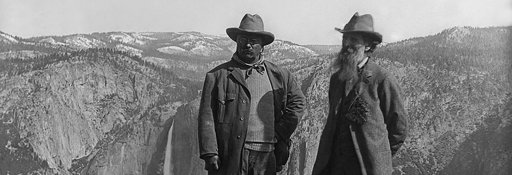 THE ENVIRONMENTAL SENTIMENT